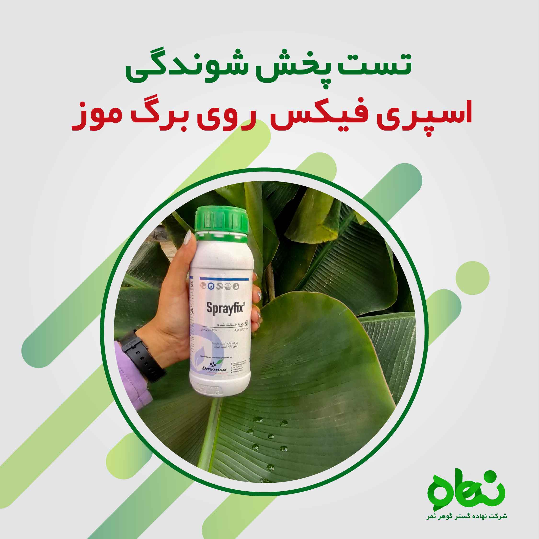تست پخش شوندگی اسپری فیکس روی برگ موز
